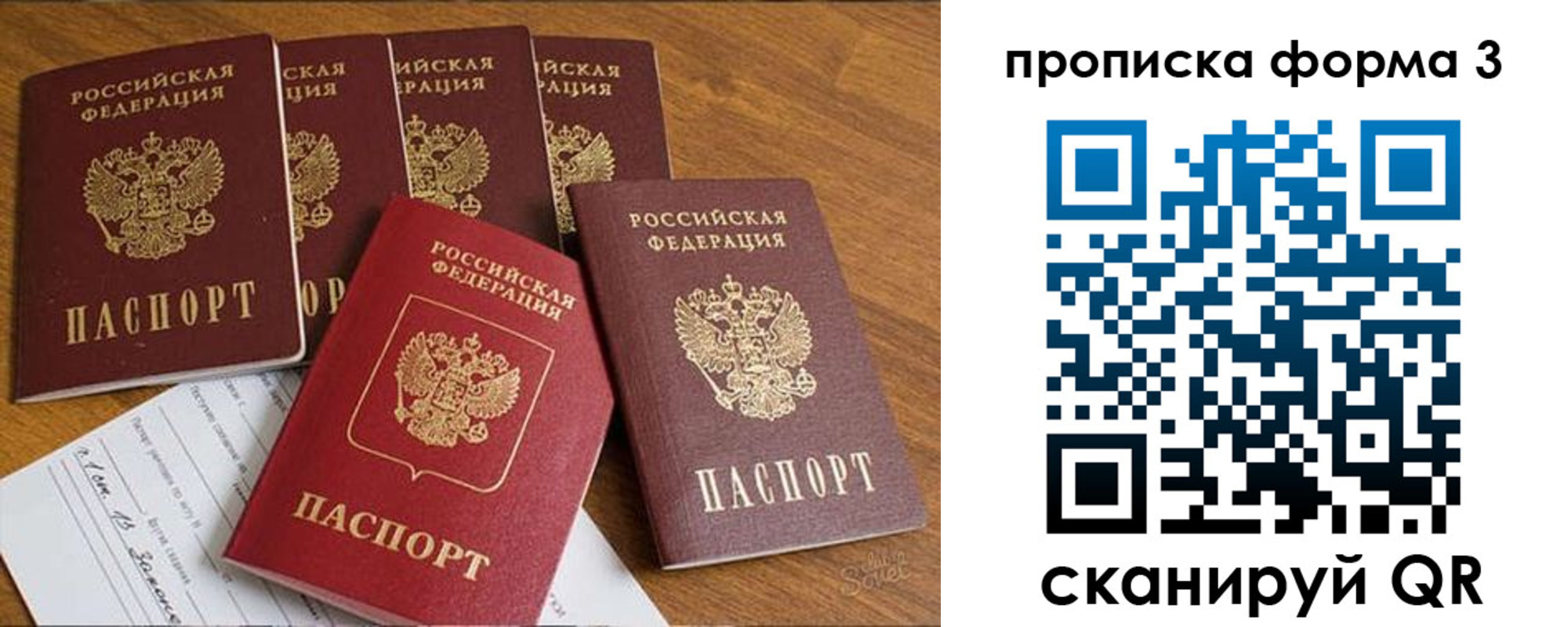 прописка 2025 в Волгограде